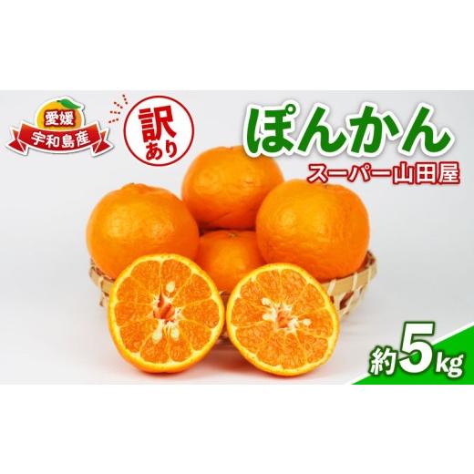 ふるさと納税 果物類 みかん 愛媛県 宇和島市 みかん 訳あり ポンカン 約 5kg スーパー山田屋 先行予約 ぽんかん 甘い 果物 くだもの フルーツ 柑橘 mikan 蜜…