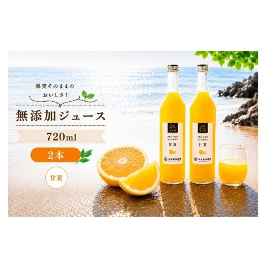 ふるさと納税 コーヒー 飲料 和歌山県 紀美野町 甘夏 100% ジュース / あまなつ ストレート 果汁 無添加 柑橘 和歌山 7000円 720ml 北海道・沖縄・離島への配…