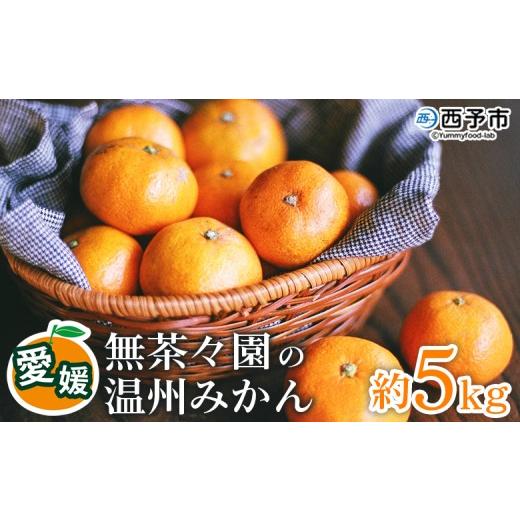 ふるさと納税 果物類 みかん 愛媛県 西予市 先行予約 無茶々園 温州みかん 約5kg 果物 くだもの ミカン 蜜柑 柑橘 フルーツ うんしゅうみかん 選べる内容量 …
