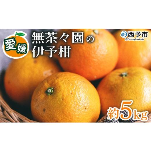 ふるさと納税 みかん・柑橘類 愛媛県 西予市 先行予約 無茶々園の伊予柑 約5kg 果物 いよかん イヨカン みかん ミカン 蜜柑 柑橘 フルーツ 選べる内容量 期間…
