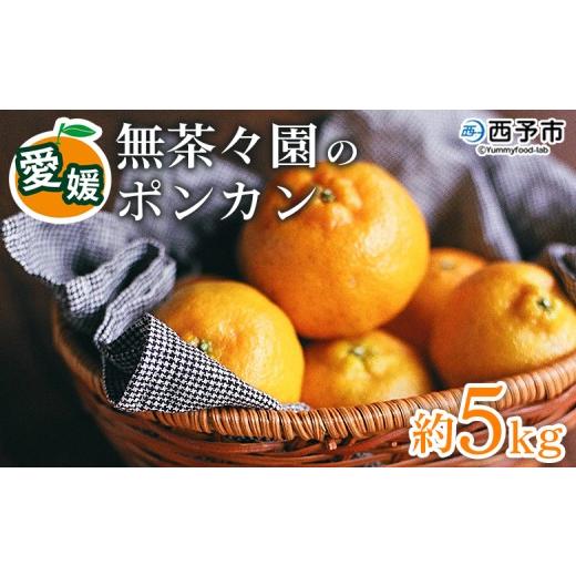 ふるさと納税 みかん・柑橘類 愛媛県 西予市 先行予約 無茶々園のポンカン 約5kg 果物 くだもの フルーツ ぽんかん みかん 蜜柑 柑橘類 かんきつ 旬 甘い 濃…