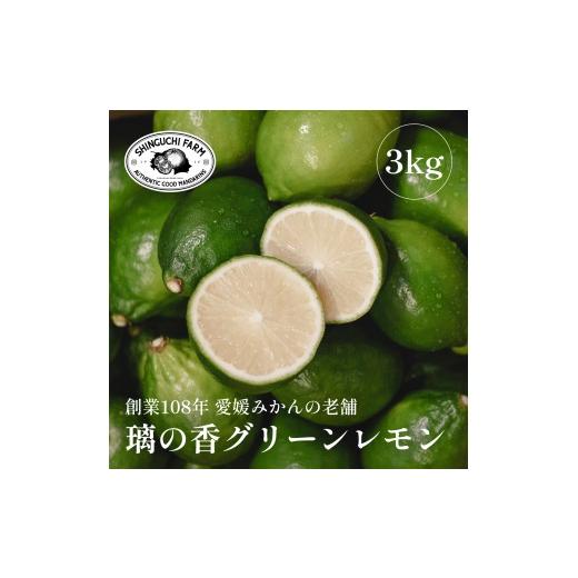 ふるさと納税 みかん・柑橘類 レモン 愛媛県 八幡浜市 先行受付 皮が薄くて種が少ない 璃の香グリーンレモン 3kg 愛媛県産 C70-50 1550669