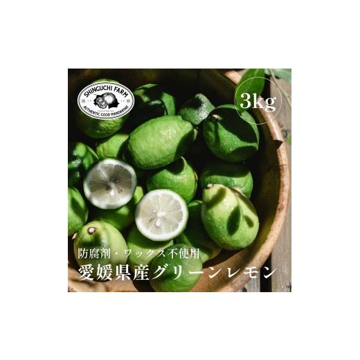 ふるさと納税 みかん・柑橘類 レモン 愛媛県 八幡浜市 先行受付 皮ごと食べられる 瀬戸内グリーンレモン 3kg 防腐剤・ワックス不使用 C70-47 1550650