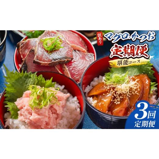 ふるさと納税 カツオ 高知県 香南市 3回定期便 マグロ かつお堪能定期便 鮪 鰹 定期便 マク゛ロ カツオ テイキヒ゛ン づけ ヅケ カイセン かいせん ねぎトロ…