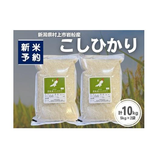 ふるさと納税 米 コシヒカリ 新潟県 村上市 新米受付・令和8年産米 新潟県村上市岩船産 コシヒカリ10kg(5kg×2袋)1099014N