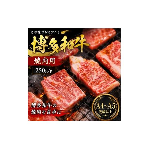 ふるさと納税 牛肉 ロース 福岡県 大木町 この味プレミアム A4〜A5 博多和牛焼肉用 250g | 牛肉 ブランド牛 国産 和牛 福岡 博多 BBQ CP068a 250g