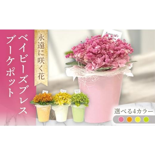 ふるさと納税 花・苗木 長崎県 大村市 イエロー ベイビーズブレスブーケポット ACCK026-3 イエロー