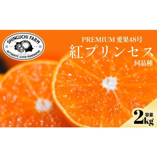 ふるさと納税 みかん・柑橘類 愛媛県 八幡浜市 先行受付 紅プリンセスと同品種 「甘平×まどんな」愛果48号 2kg [新品種] 家庭用 C70-62 1602935