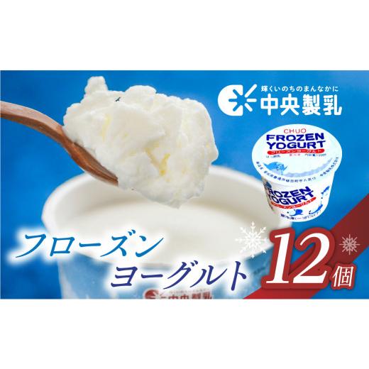 ふるさと納税 菓子 ヨーグルト 愛知県 豊橋市 今、話題のヨーグルトアイス 中央製乳 フローズンヨーグルト 12個 高評価 スイーツ ヨーグルト 愛知県産 牛乳 …