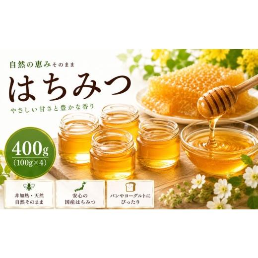 ふるさと納税 加工品等 はちみつ 埼玉県 羽生市 はちみつ 100g 4個 計 400g セット 詰合せ 国産 蜂蜜 ハチミツ はち蜜 生はちみつ 非加熱 純粋 非加熱はちみつ…