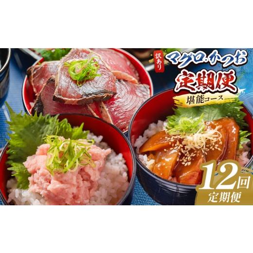 ふるさと納税 カツオ 高知県 香南市 12回定期便 マグロ かつお堪能定期便 - 訳あり マグロ 鮪 カツオ 鰹 漬けマグロ たたき ネギトロ 配送回数 定期便 小分け…