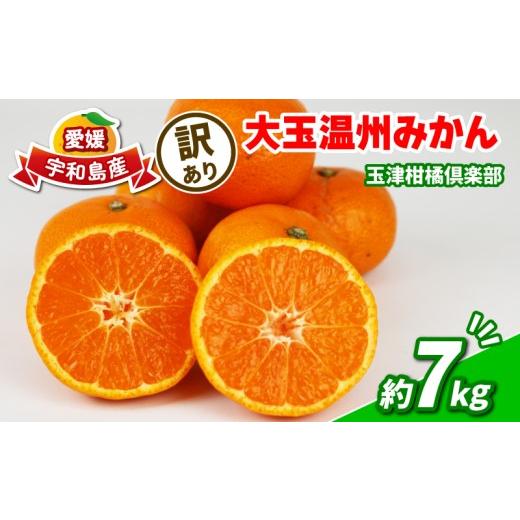 ふるさと納税 果物類 みかん 愛媛県 宇和島市 訳あり 大玉 みかん 7kg 温州みかん 先行予約 玉津柑橘倶楽部 温州 蜜柑 大玉みかん 甘い 果物 くだもの フルー…