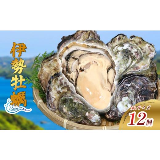 ふるさと納税 牡蠣 三重県 南伊勢町 (冷蔵) Aコース 三倍体 伊勢牡蠣 XLサイズ 12個 三重産 カキ かき 加熱用 カキフライ 牡蠣鍋 蒸し牡蠣 カキ 真牡蠣 BBQ …