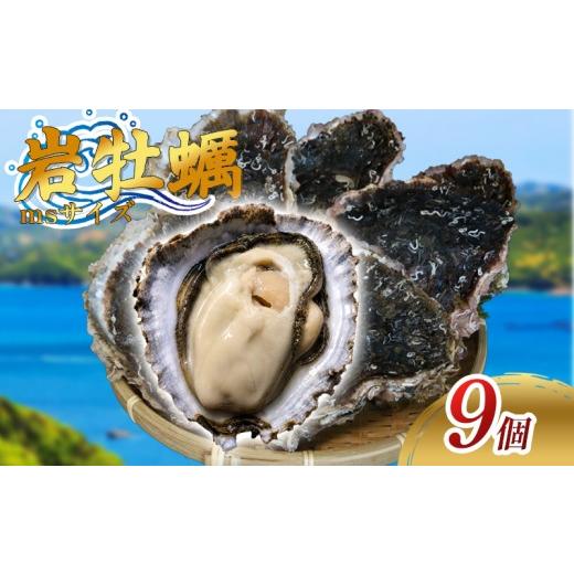ふるさと納税 牡蠣 三重県 南伊勢町 (冷蔵) Cコース 岩牡蠣 MSサイズ 9個 三重産 カキ かき 加熱用 カキフライ 牡蠣鍋 蒸し牡蠣 カキ BBQ 浜焼き バーベキュ…