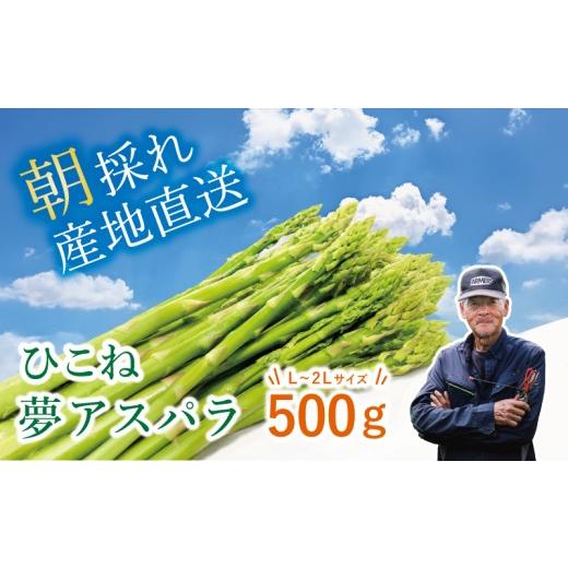 ふるさと納税 野菜類 アスパラガス 滋賀県 彦根市 先行予約 グリーンアスパラ 500g ( L~2L ) 夏芽 アスパラガス アスパラ 夏アスパラ ひこね夢アスパラ 朝採 …