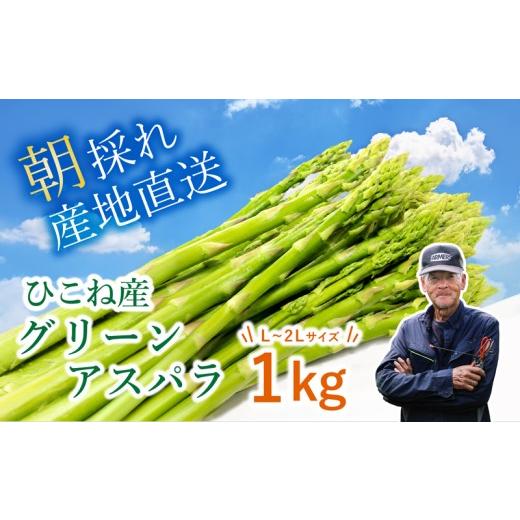 ふるさと納税 野菜類 アスパラガス 滋賀県 彦根市 先行予約 グリーンアスパラ 1kg ( L~2L ) 夏芽 アスパラガス アスパラ 夏アスパラ ひこねアスパラ 朝採 新…