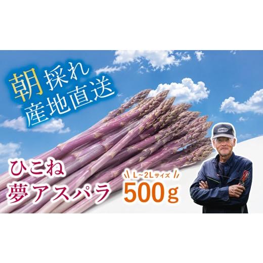ふるさと納税 野菜類 アスパラガス 滋賀県 彦根市 先行予約 紫アスパラ 500g ( L~2L ) 夏芽 アスパラガス アスパラ 夏アスパラ ひこね夢アスパラ 朝採 新鮮 …