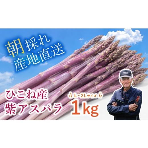 ふるさと納税 野菜類 アスパラガス 滋賀県 彦根市 先行予約 紫アスパラ 1kg ( L~2L ) 夏芽 アスパラガス アスパラ 夏アスパラ ひこねアスパラ 朝採 新鮮 春野…
