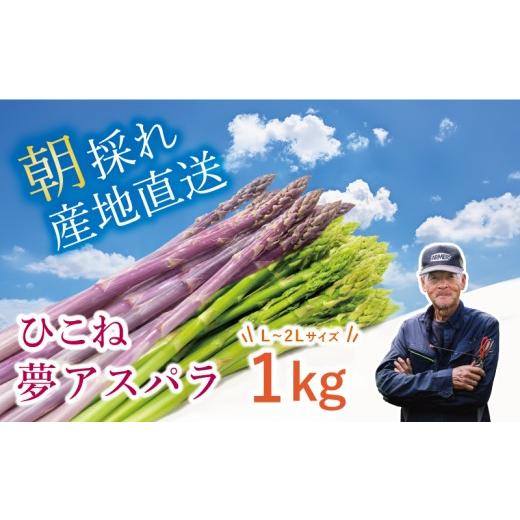 ふるさと納税 野菜類 アスパラガス 滋賀県 彦根市 先行予約 グリーン × 紫アスパラ セット 1kg / 各500g ( L~2L ) 夏芽 アスパラガス アスパラ グリーンア…