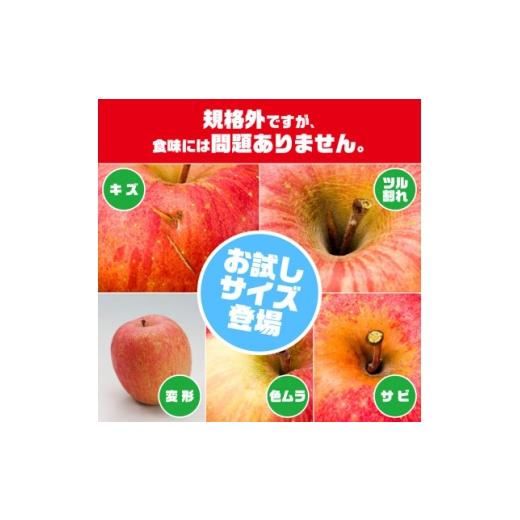 ふるさと納税 りんご 青森県 黒石市 レビュー評価 4.5の訳ありりんご「サンふじ」。お試しサイズ3kgが登場 1748539
