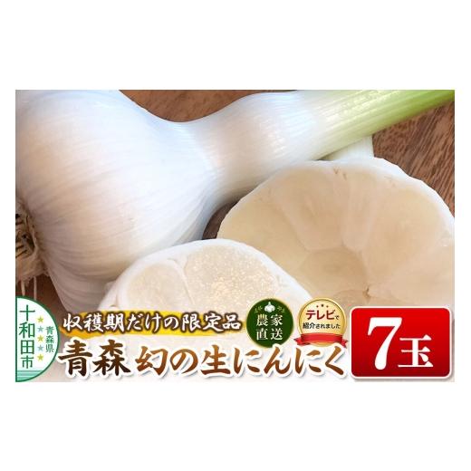 ふるさと納税 野菜類 青森県 十和田市 先行受付 テレビ紹介 青森 幻の生にんにく7玉(農家直送・収穫期だけの限定品) 青森にんにくファーム 稀少 ニンニク 今…