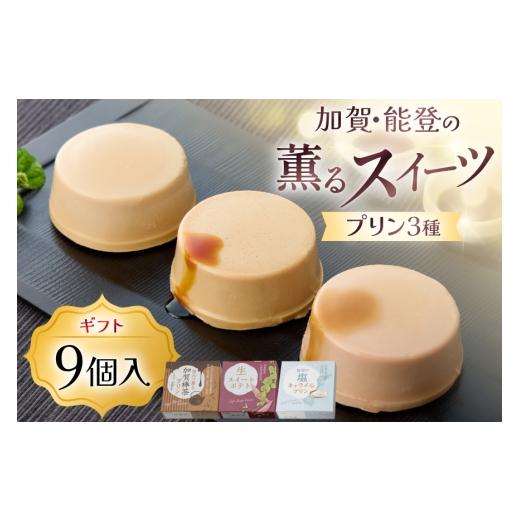 ふるさと納税 菓子 プリン 石川県 津幡町 加賀・能登の素材薫るスイーツ9個入 株式会社オハラ 石川県 津幡町 tb17bsp260004 スイーツ 和スイーツ デザート セ…