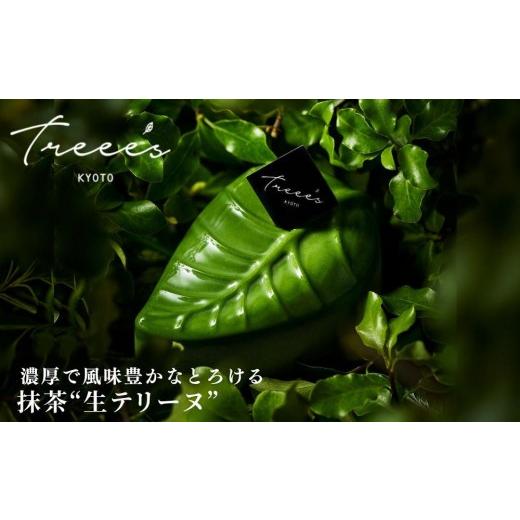 ふるさと納税 菓子 チョコレート 京都府 京都市 TREEE'S 抹茶テリーフ|京都 スイーツ ブランド 人気 抹茶スイーツ 抹茶生テリーヌ リーフ型チョコテリーヌ …