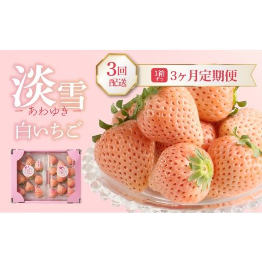 ふるさと納税 いちご 佐賀県 玄海町 予約受付 杉山いちご農園 玄海町産いちご “淡雪(あわゆき)" 3ヶ月定期便 / 白いちご 白イチゴ 淡雪 あわゆき 苺 い…