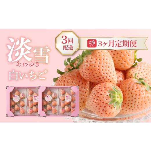 ふるさと納税 いちご 佐賀県 玄海町 予約受付 杉山いちご農園 玄海町産いちご “淡雪(あわゆき)" 3ヶ月定期便DX / 白いちご 白イチゴ 淡雪 あわゆき 苺 …