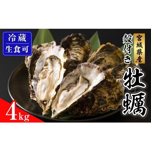 ふるさと納税 牡蠣 生牡蠣 宮城県 登米市 殻付き牡蠣(生食用)冷蔵 4kg 生牡蠣 宮城県産 牡蛎 牡蠣 カキ かき 生食 オイスター カキフライ 牡蠣鍋 海鮮 国産 …