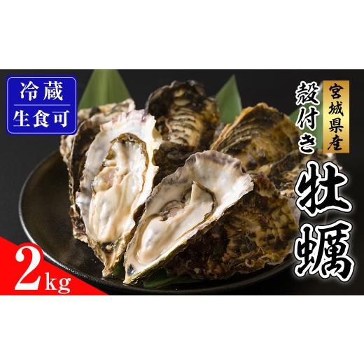 ふるさと納税 牡蠣 生牡蠣 宮城県 登米市 殻付き牡蠣(生食用)冷蔵 2kg 生牡蠣 宮城県産 牡蛎 牡蠣 カキ かき 生食 オイスター カキフライ 牡蠣鍋 海鮮 国産 …