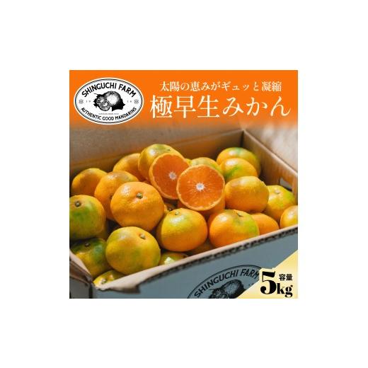 ふるさと納税 果物類 みかん 愛媛県 八幡浜市 小玉サイズ限定 五代目が厳選した極早生みかん5kg 愛媛県川上産 C70-88 1669130