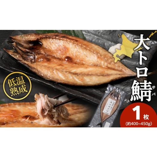 ふるさと納税 魚貝類 北海道 白老町 低温熟成一夜干し大トロさば1枚 虎杖浜加工