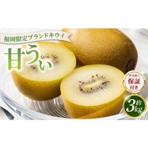 ふるさと納税 果物類 福岡県 那珂川市 寄附額改定↓ 先行予約 希少 キウイ 甘うぃ 約3kg(2026年11月以降発送)|果物 旬 国産 産地直送 キウイキウイ キウイフ…