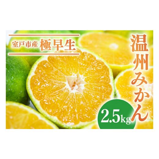 ふるさと納税 果物類 みかん 高知県 室戸市 先行予約 極早生 温州みかん 2.5kg | 数量限定 温州みかん みかん 蜜柑 ミカン 柑橘 旬 果物 フルーツ 柑橘 甘い …