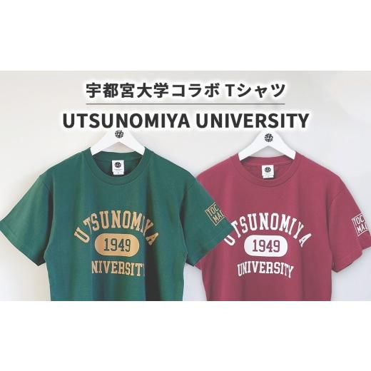 ふるさと納税 服 栃木県 宇都宮市 XLサイズ/アイビーグリーン 宇都宮大学コラボ UTSUNOMIYA UNIVERSITY Tシャツ | コラボ オリジナル 男女兼用 綿100% 栃木…