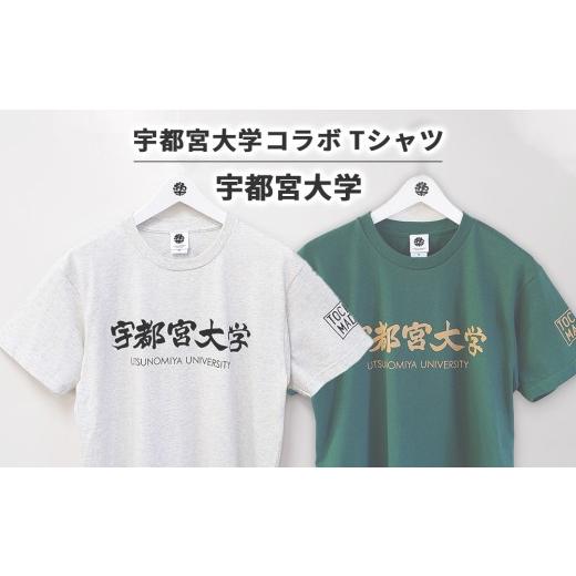 ふるさと納税 服 栃木県 宇都宮市 Mサイズ/アイビーグリーン 宇都宮大学コラボ 宇都宮大学Tシャツ | コラボ オリジナル 男女兼用 綿100% 栃木県 宇都宮市 ト…