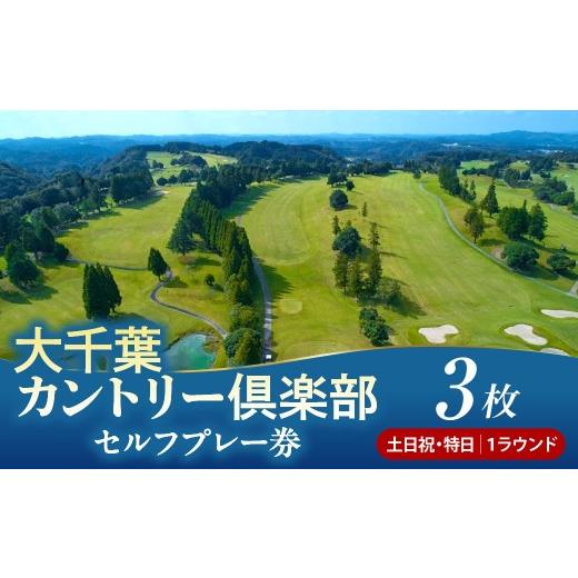 ふるさと納税 ゴルフ場利用券 千葉県 市原市 大千葉カントリー倶楽部 1R セルフプレー券 土日祝・特日 3枚(土日祝・特日:1月〜9月の期間内全日) セルフプレ…