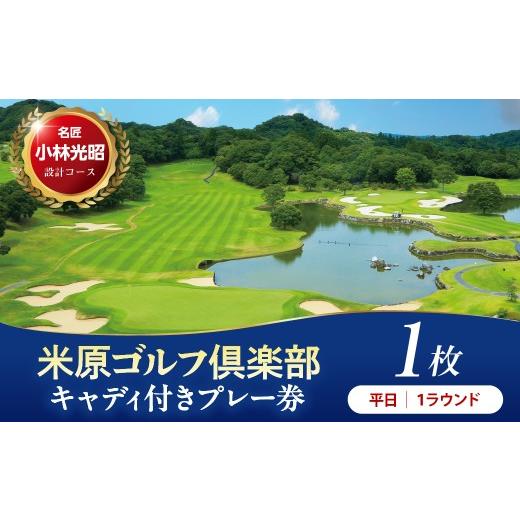 ふるさと納税 ゴルフ場利用券 千葉県 市原市 平日 米原ゴルフ倶楽部 1R キャデイ付プレー券(7〜9月、1〜3月昼食付) 1名様券 1枚 平日 1R キャデイ付プレー…