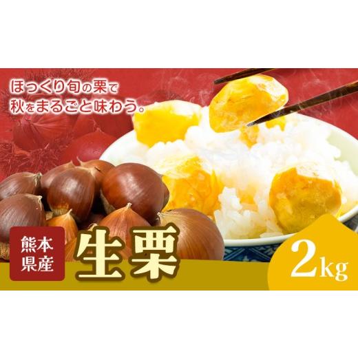 ふるさと納税 果物類 栗 熊本県 菊池市 栗 生栗 2kg とくちゃん農園[9月上旬-10月上旬出荷予定]熊本県 菊池市 栗 くり 熊本県産 秋の味覚 果物 くだもの フ…