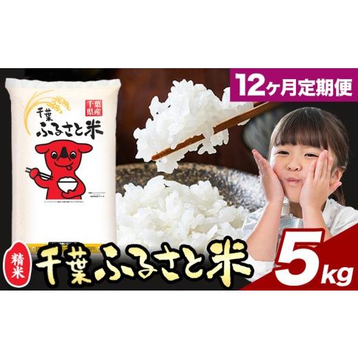 ふるさと納税 米 千葉県 勝浦市 12ヶ月定期便 米 千葉ふるさと米 5kg[お申し込み月の翌月から出荷開始]ブレンド米 千葉県 勝浦市 米 白米 精米 国産 お米 …