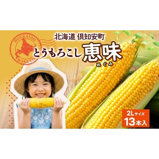 ふるさと納税 とうもろこし 北海道 倶知安町 朝もぎ イエロー とうもろこし 恵味 2Lサイズ 13本 約5kg 大きめ 夏野菜 とうきび 旬 新鮮 野菜 トウモロコシ 甘…