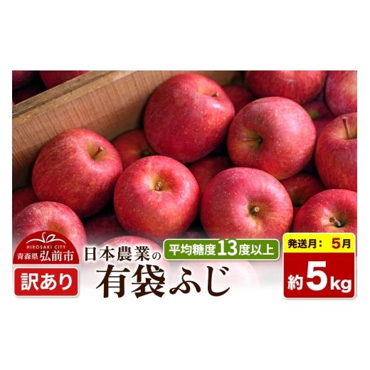 ふるさと納税 りんご 青森県 弘前市 27年5月クール便発送 りんご 有袋ふじ 訳あり 約5kg CA貯蔵 平均糖度13度以上 クール便 青森 果物 フルーツ 林檎 リンゴ …