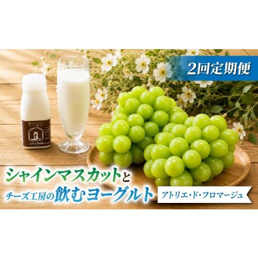 ふるさと納税 ぶどう マスカット 長野県 東御市 2回定期便 シャインマスカットとチーズ工房の飲むヨーグルト(シャインマスカット2房/飲むヨーグト プレーン…