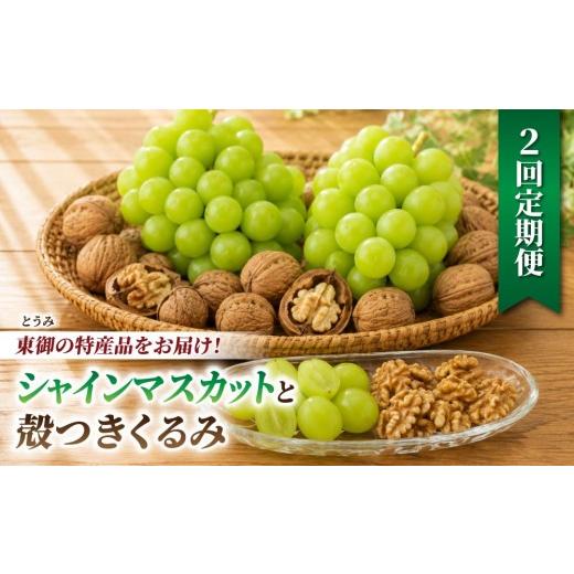 ふるさと納税 ぶどう マスカット 長野県 東御市 2回定期便 とうみの名産定期便(シャインマスカット2房/殻つきくるみ約1.4kg)| JA信州うえだ ぶどう 葡萄 …