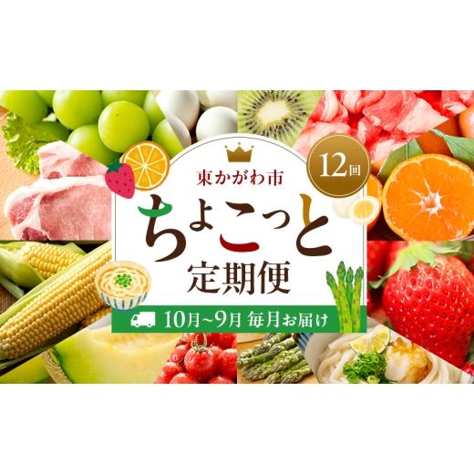ふるさと納税 卵(鶏、烏骨鶏等) 香川県 東かがわ市   東かがわ市ちょこっと定期便(12回) 卵 キウイ 黒毛和牛 みかん いちご 讃岐うどん アスパ…
