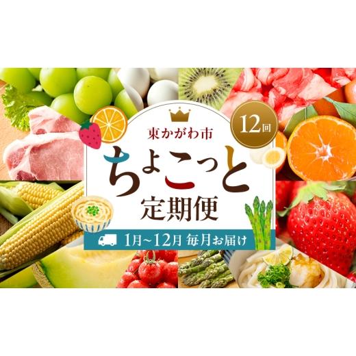 ふるさと納税 果物の詰合せ 香川県 東かがわ市   東かがわ市ちょこっと定期便(12回) みかん いちご 讃岐うどん アスパラ トマト メロン コーン 豚…