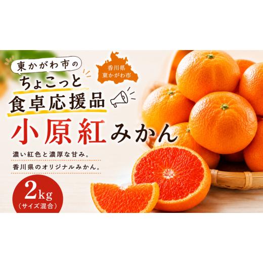 ふるさと納税 果物類 みかん 香川県 東かがわ市   東かがわ市のちょこっと食卓応援品「小原紅みかん 2kg」