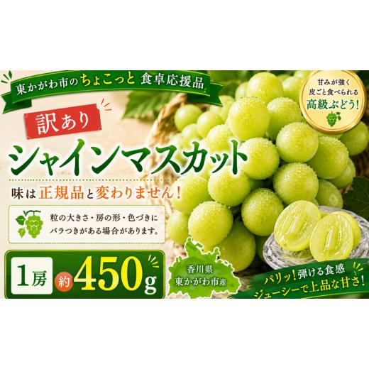 ふるさと納税 ぶどう マスカット 香川県 東かがわ市   東かがわ市のちょこっと食卓応援品「訳ありシャインマスカット1房(約450g)」