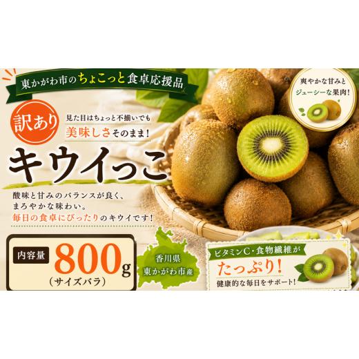 ふるさと納税 果物類 香川県 東かがわ市   東かがわ市のちょこっと食卓応援品「キウイっこ 800g(サイズバラ)」